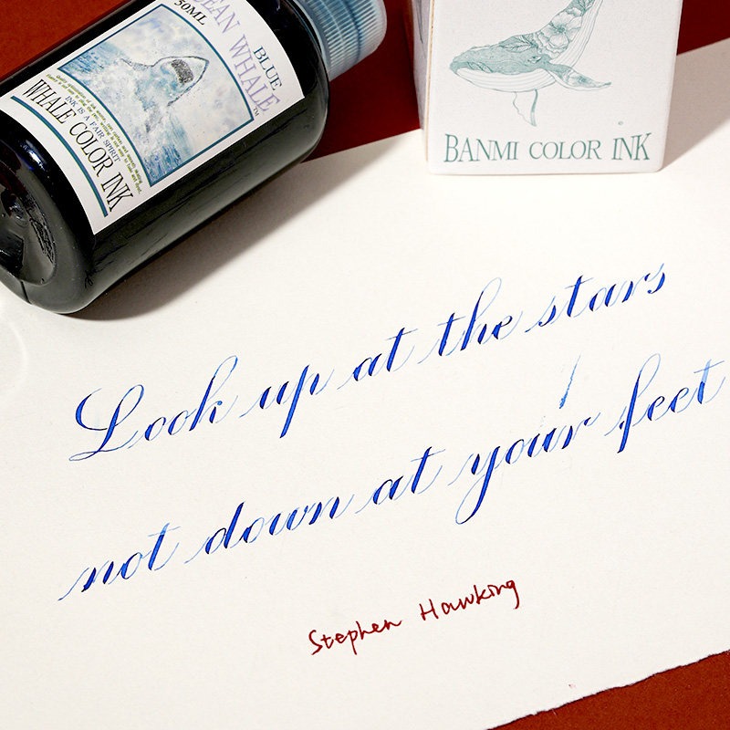 Banmi クジラシリーズ万年筆インクナノグレードノンカーボ - Fountain Pen Bottled Ink のレビューと価格